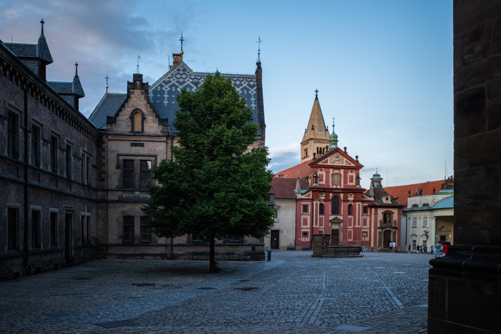 a tree in a courtyard with buildings around it