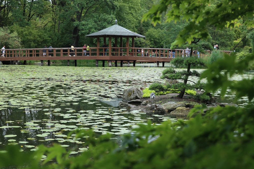 a pond with a gazebo and trees around it
