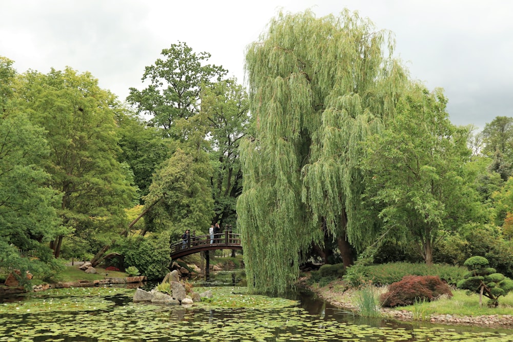 a bridge over a pond with trees around it