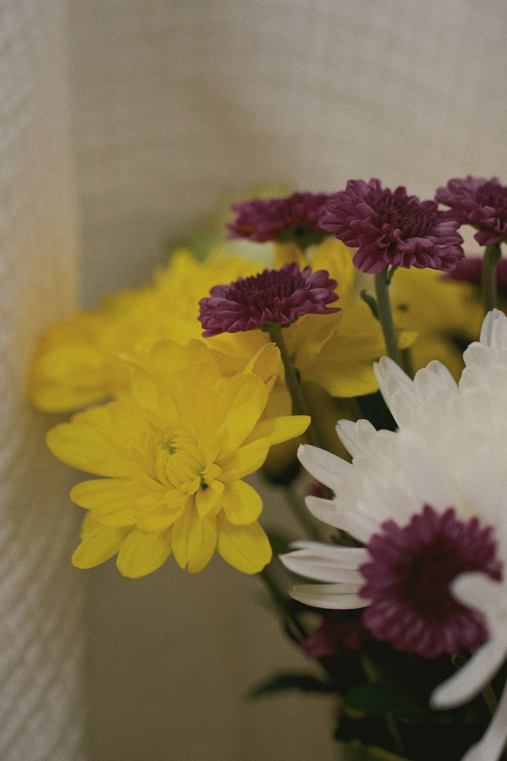 a group of flowers