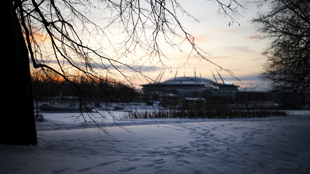 a snowy field with trees and a building in the background