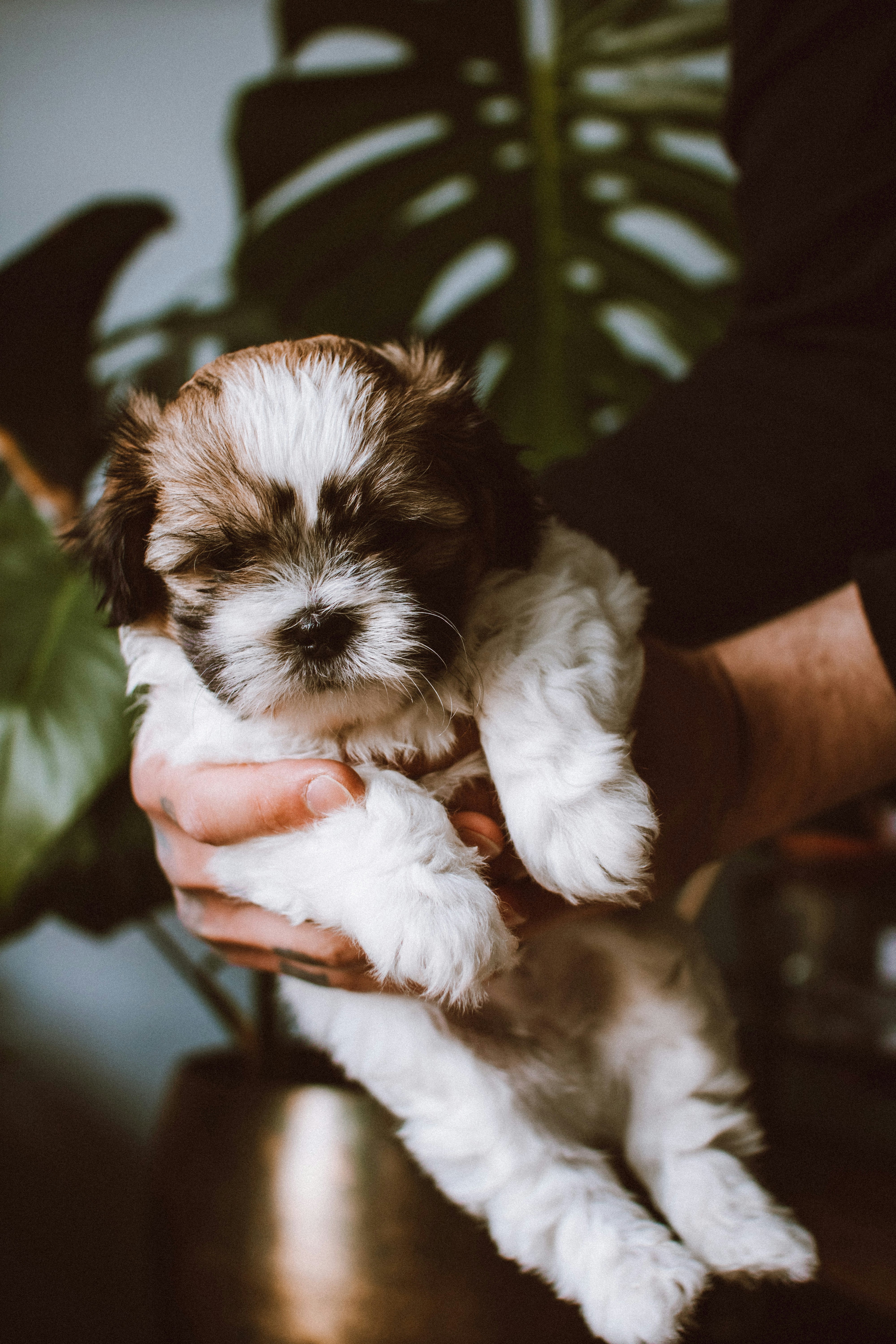 Photo by lanathegraves