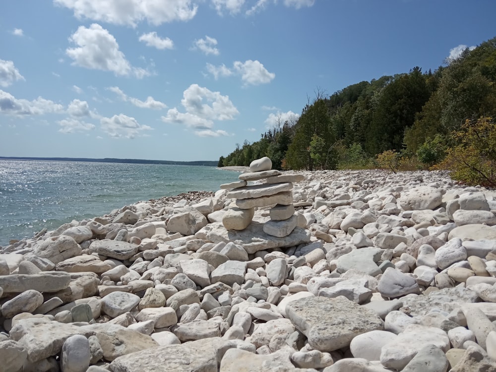 a rocky beach with trees and water