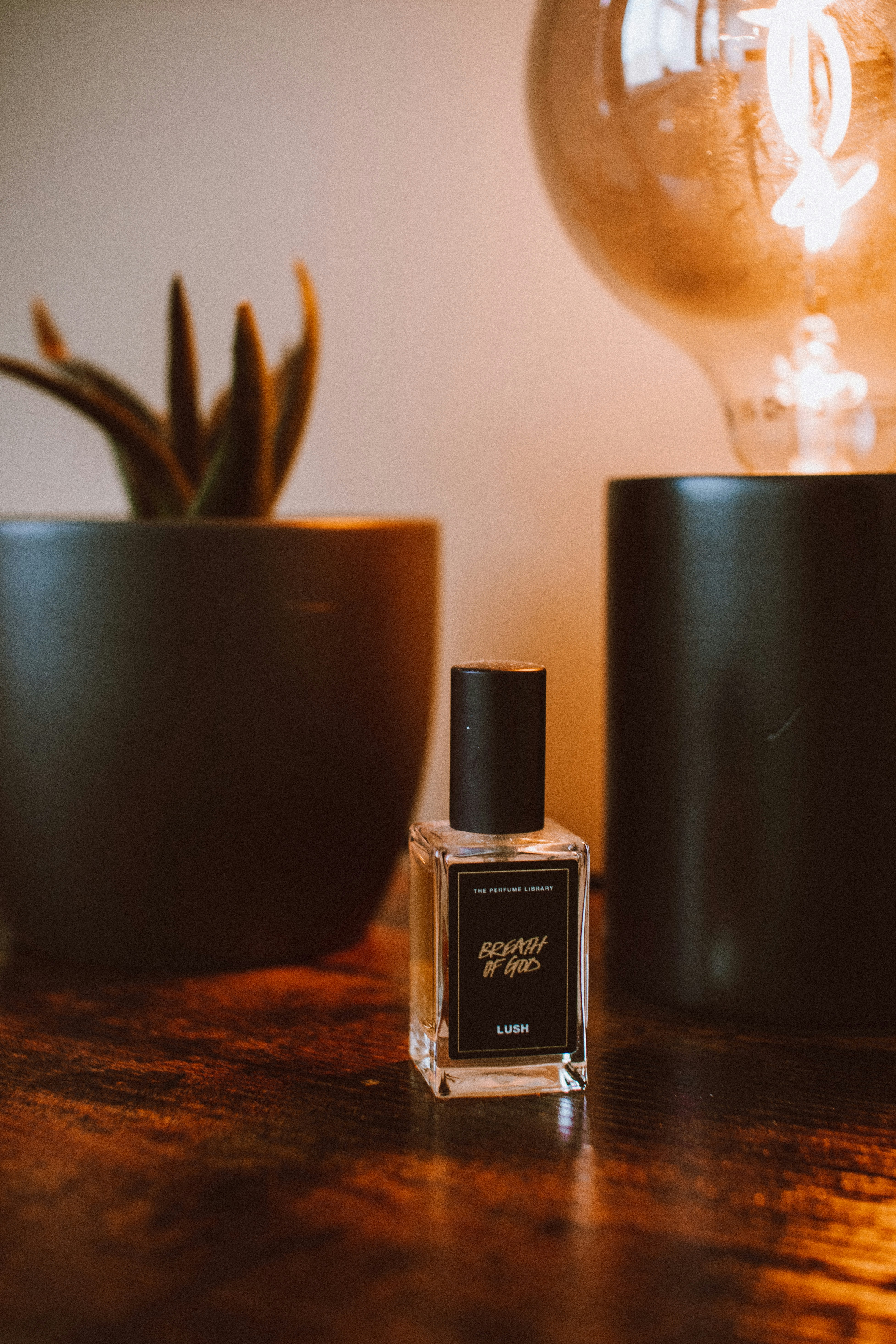 Photo by lanathegraves