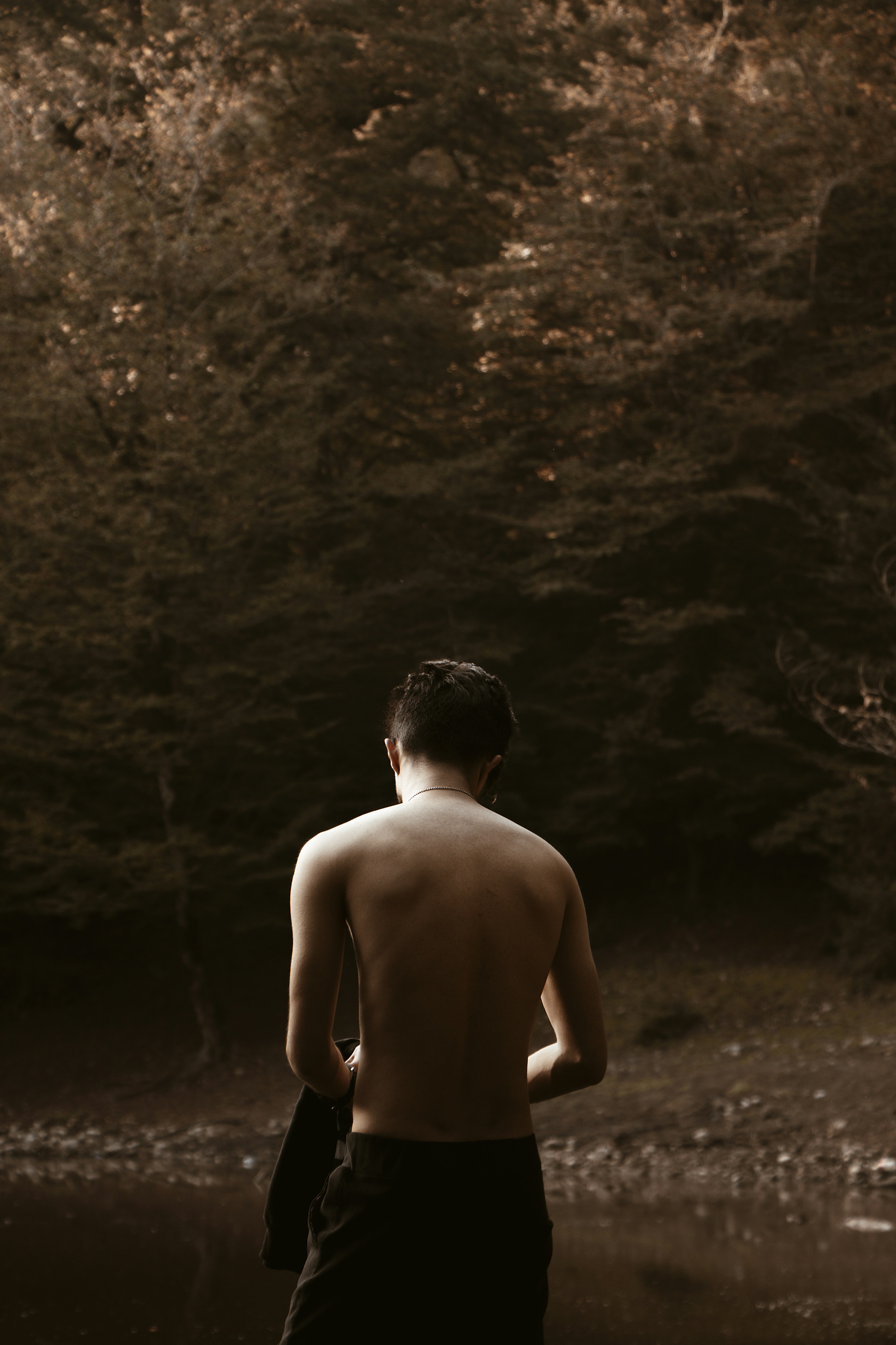 Photo by mahdibafande