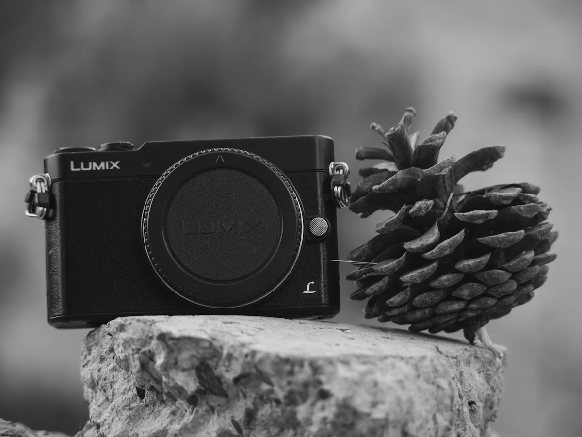 Panasonic LUMIX S9 レビュー