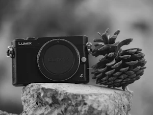 Panasonic LUMIX S9 レビュー