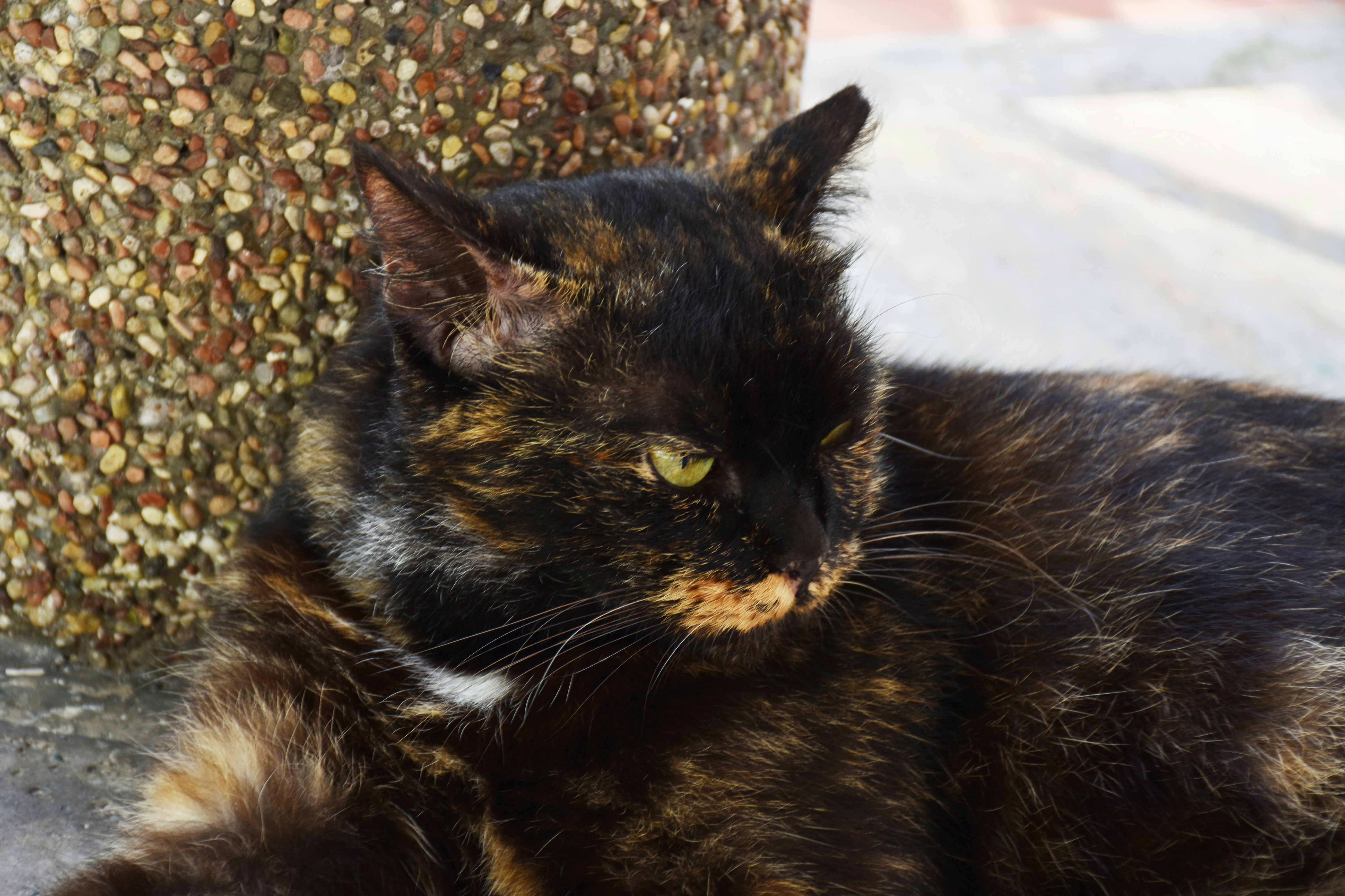 Photo by noelleinmarket