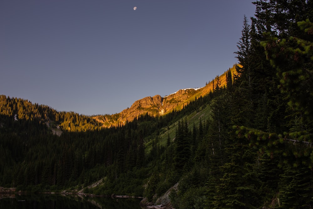 a mountain with trees and a body of water below