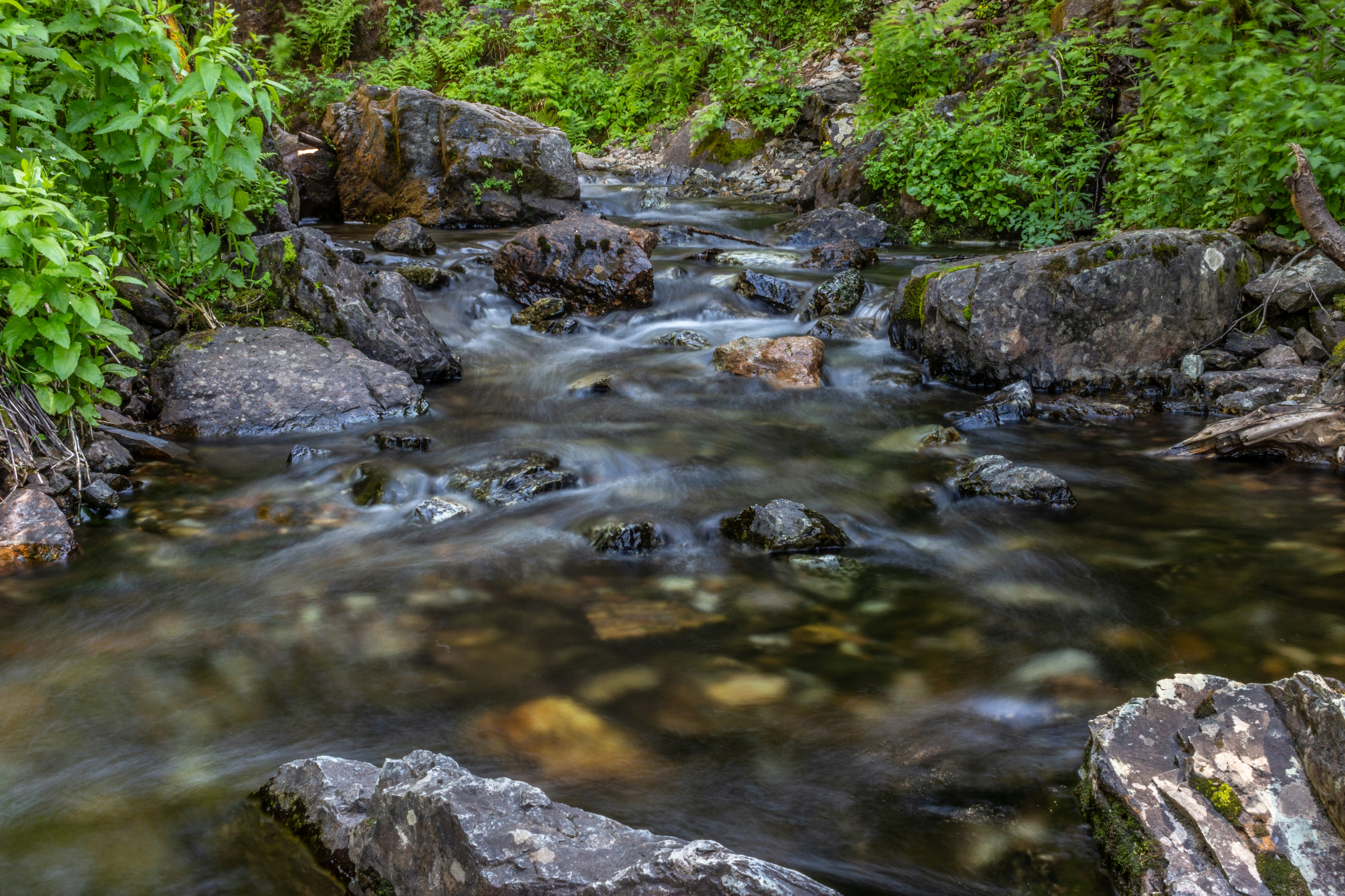 Mambray Creek, South Australia