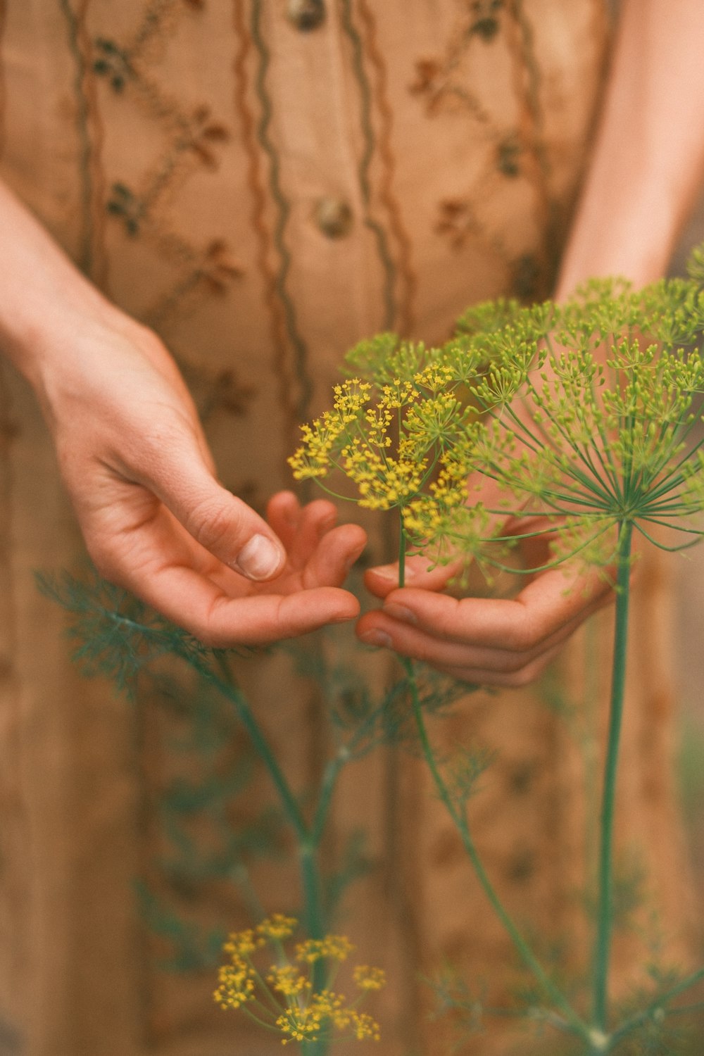 a person holding a flower