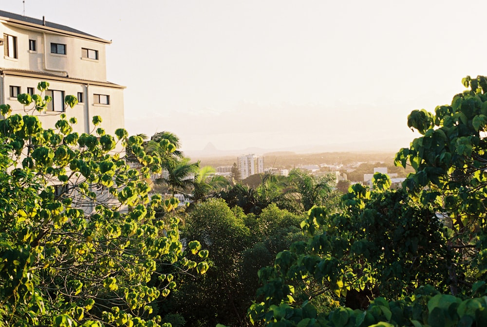 a view of a city from a hill