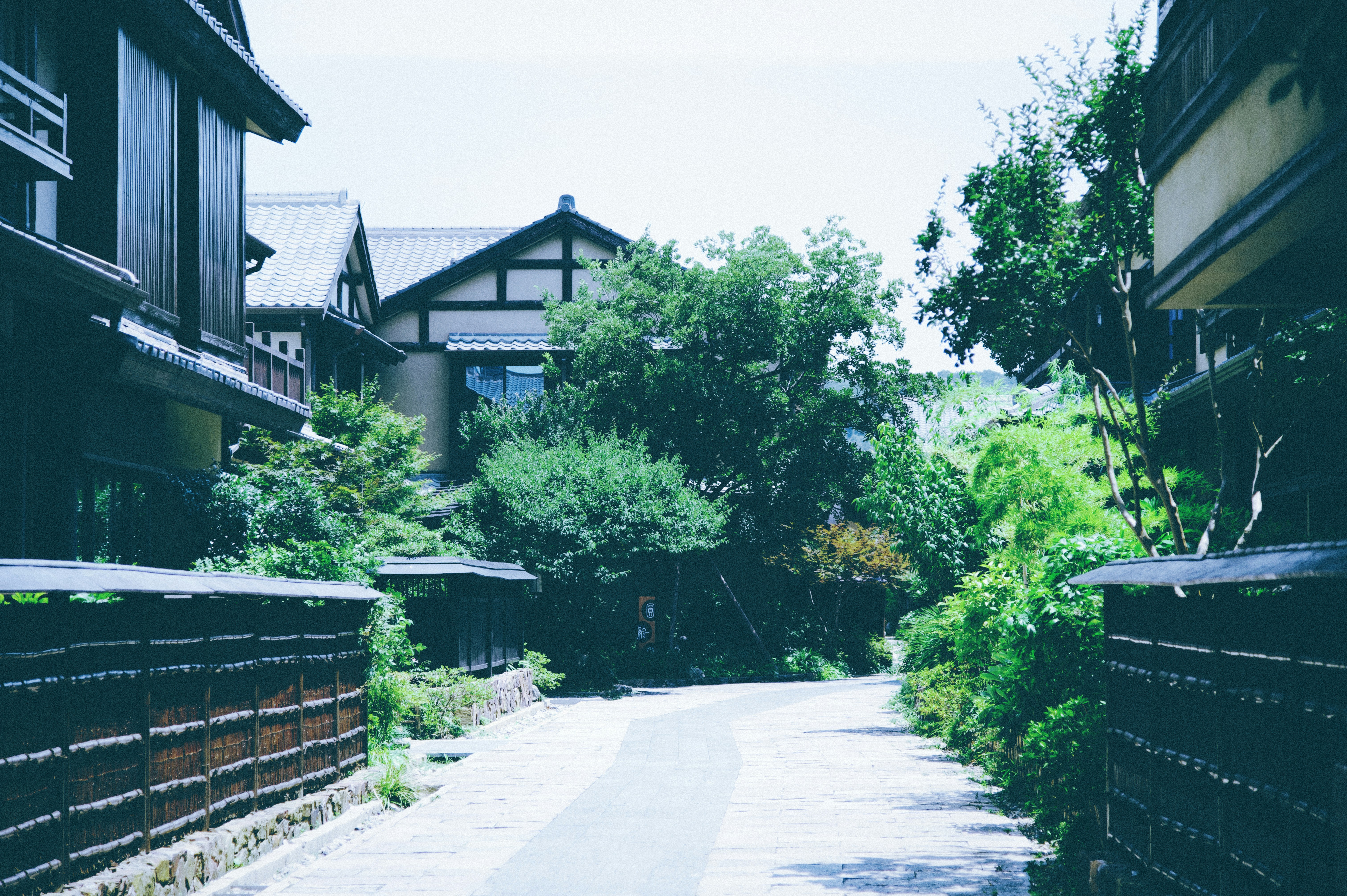 Photo by 2nd_cosmic_velocity