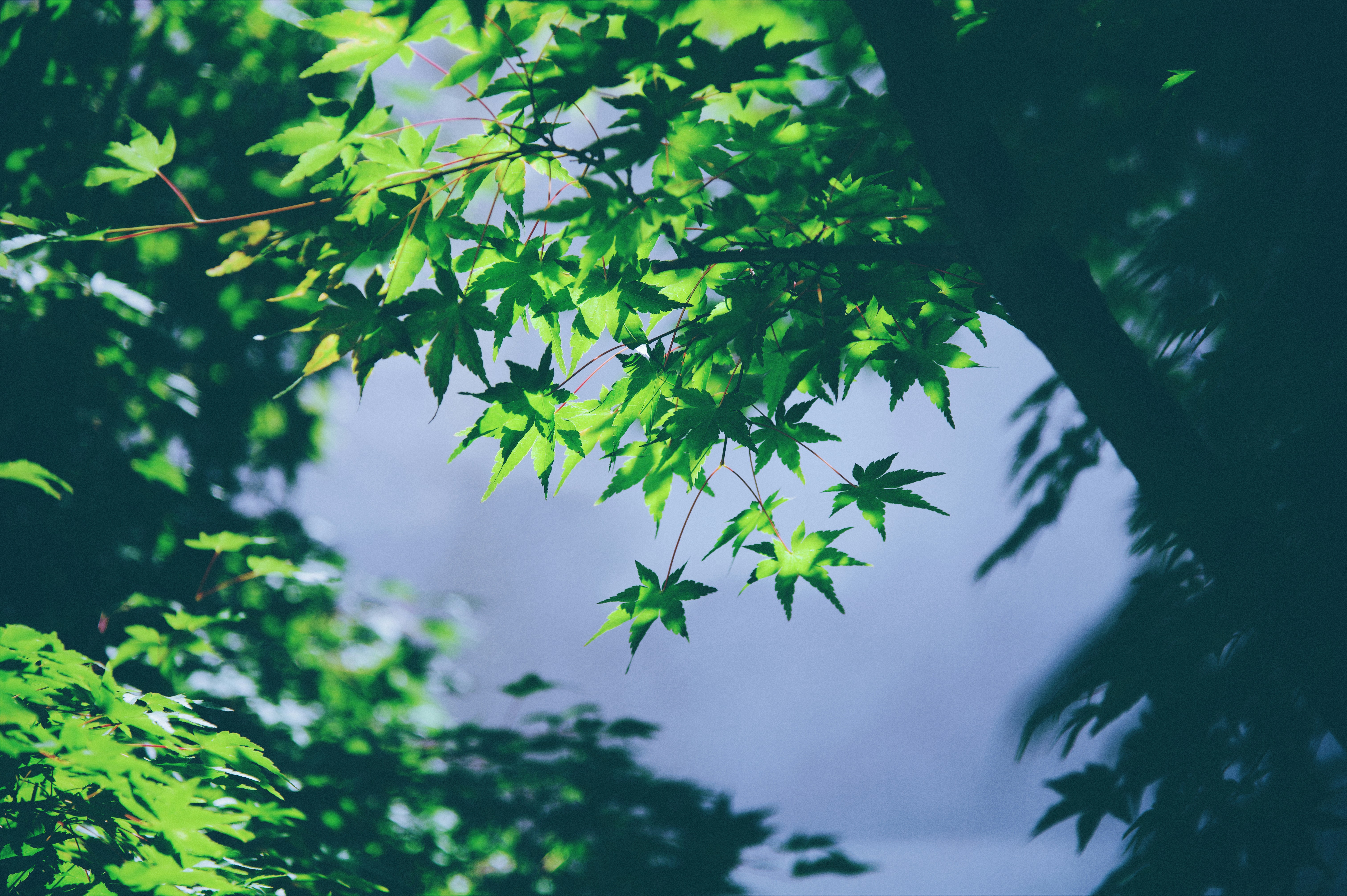 Photo by 2nd_cosmic_velocity