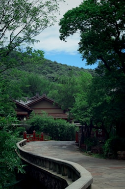 A serene pathway leading to traditional Vedic cottages surrounded by lush greenery.