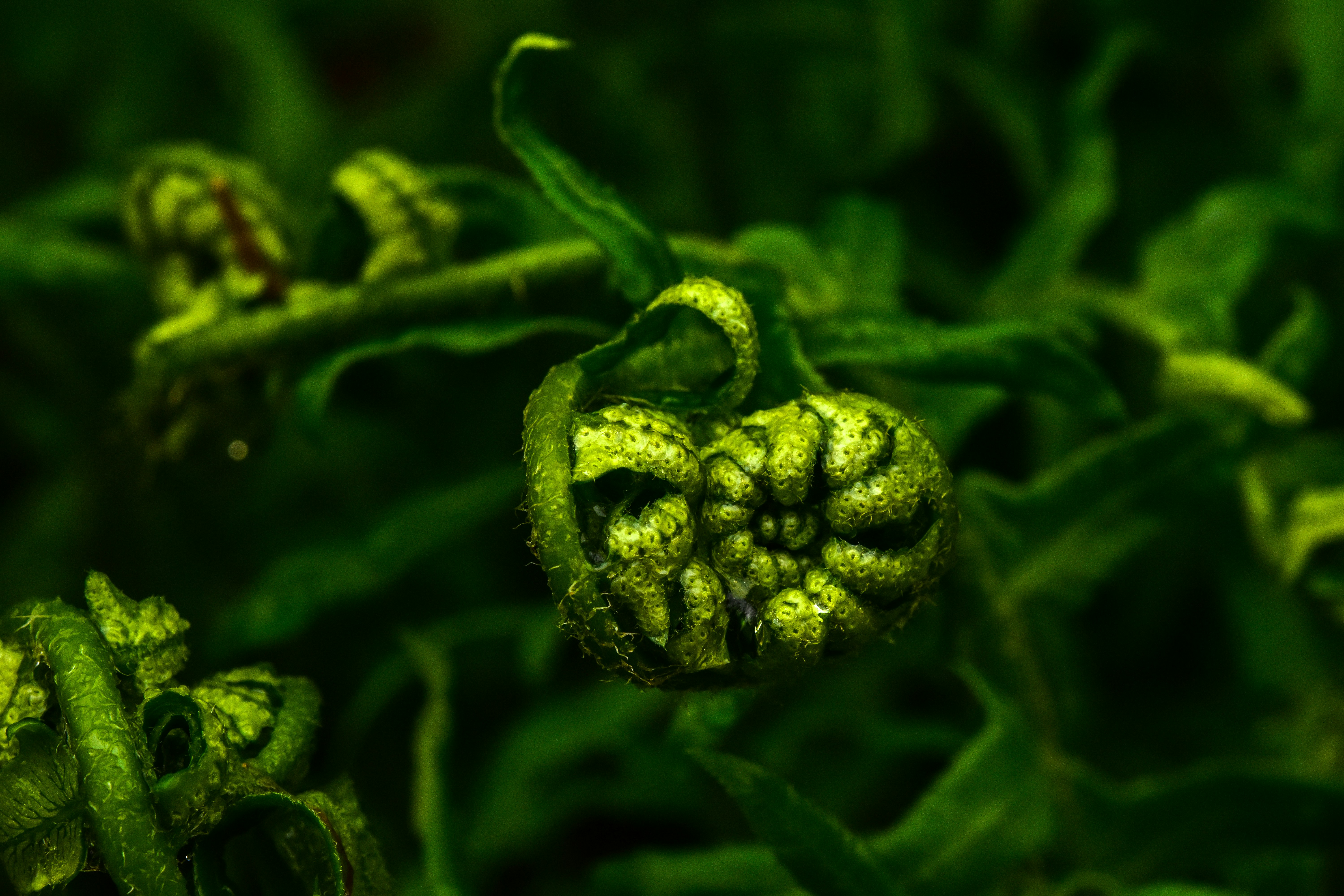 Photo by jasonmphoto