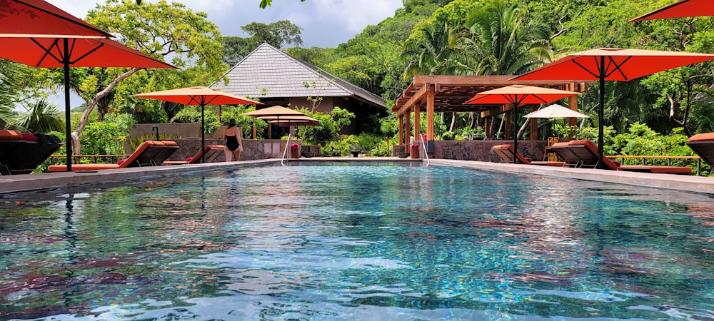 a pool with umbrellas and chairs