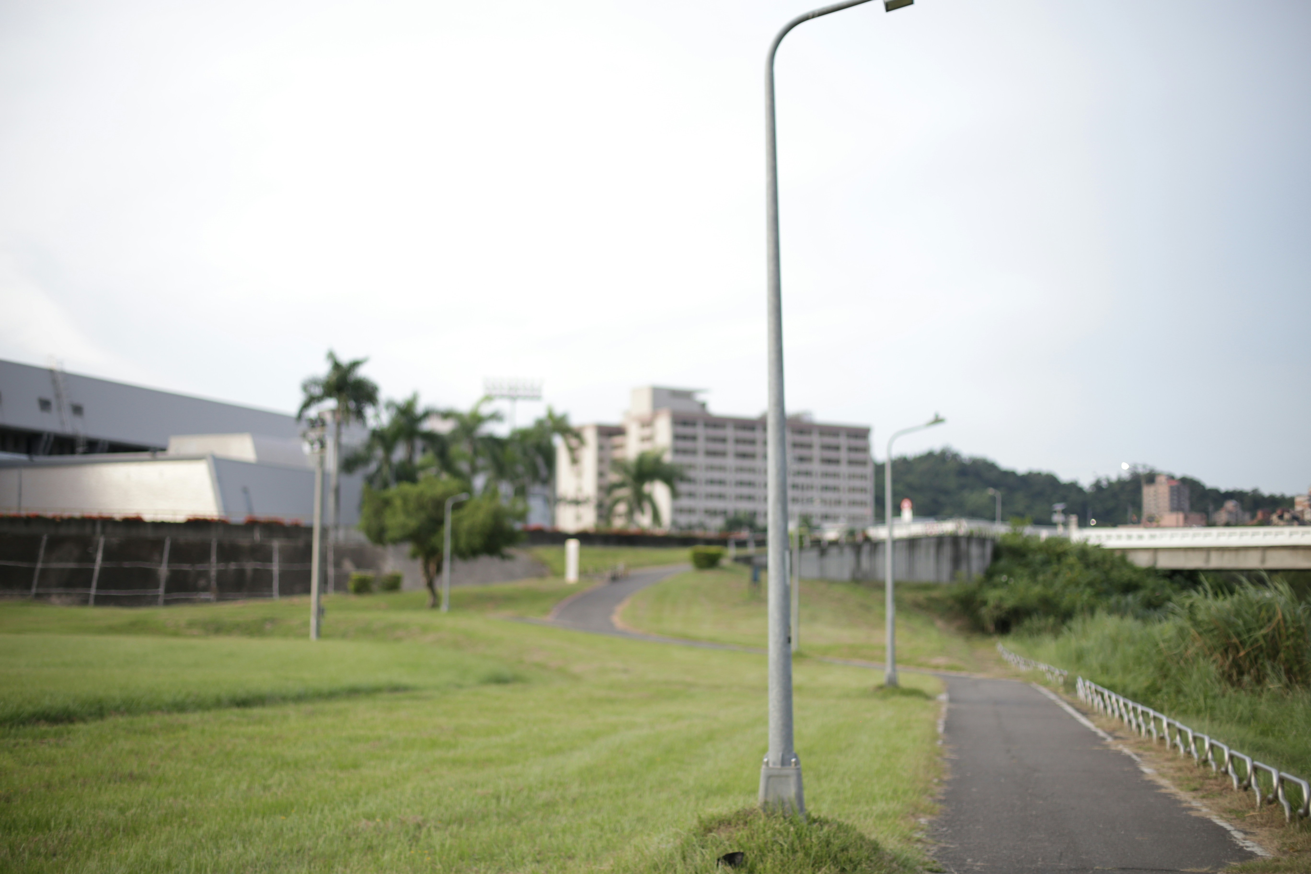 Photo by mclee