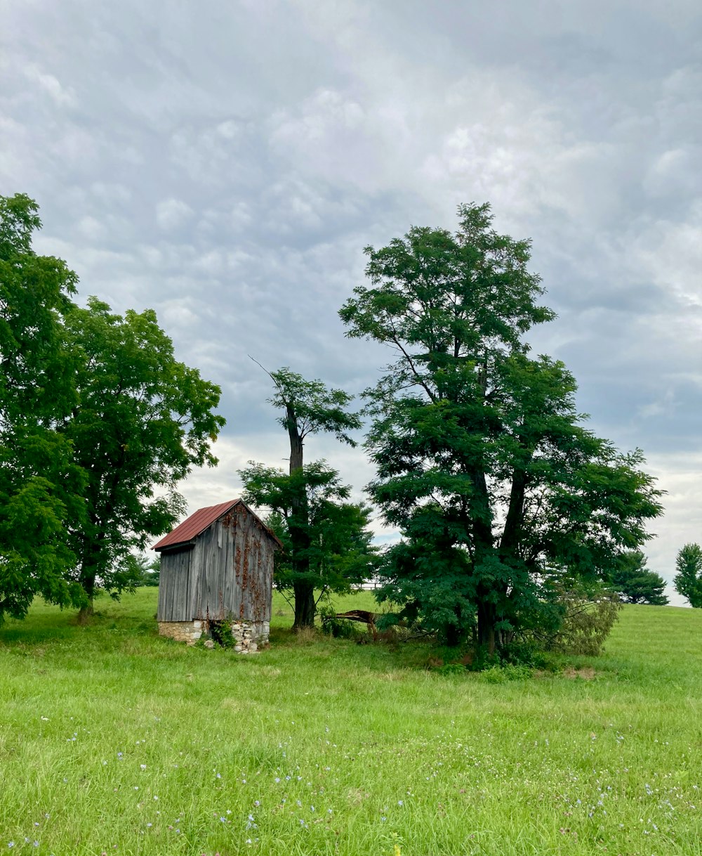 a small wooden building in a grassy field with trees