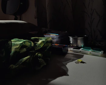 A dimly lit studio with scattered art supplies and soft shadows.