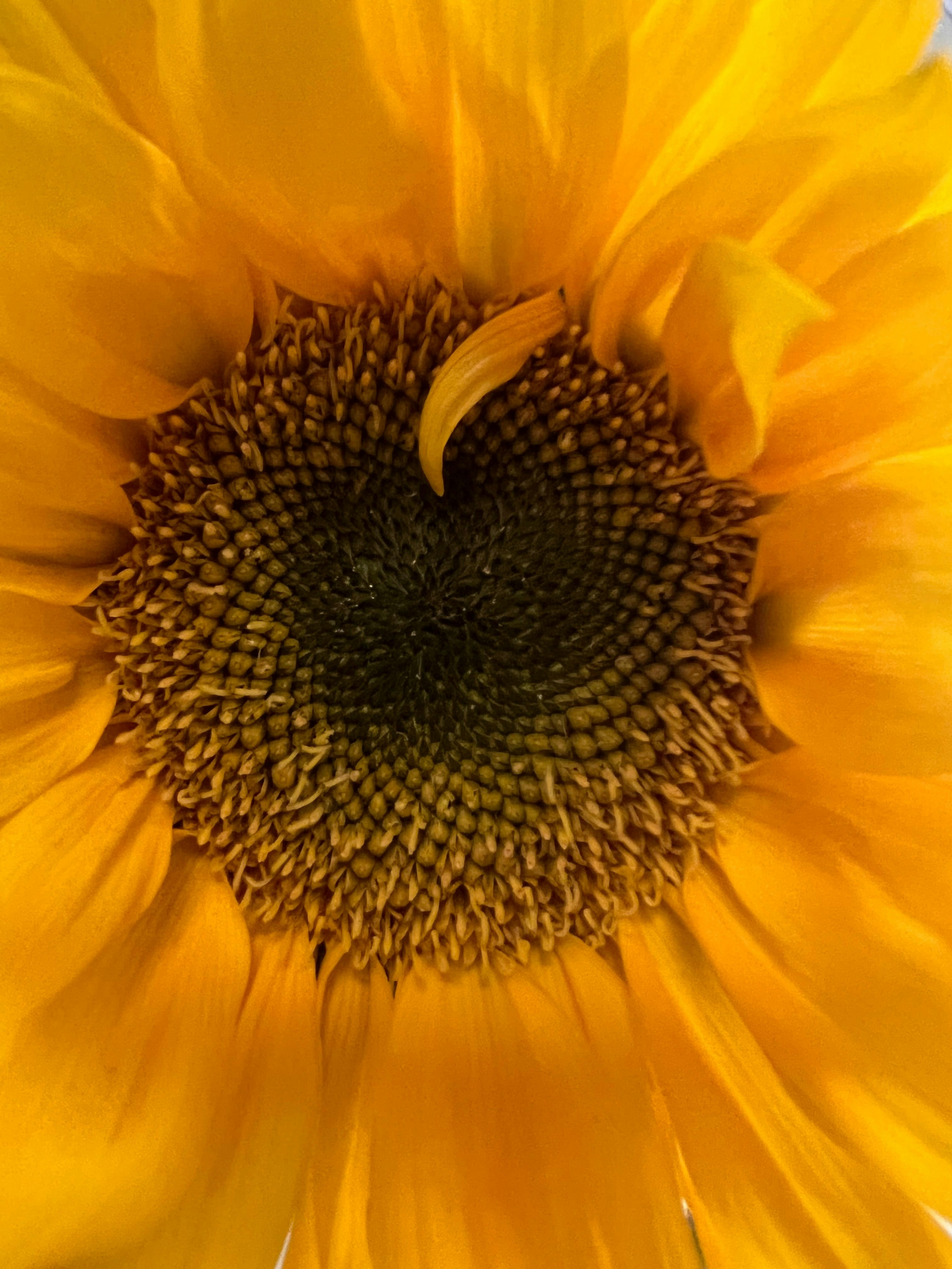 Photo by eugeniagarnes