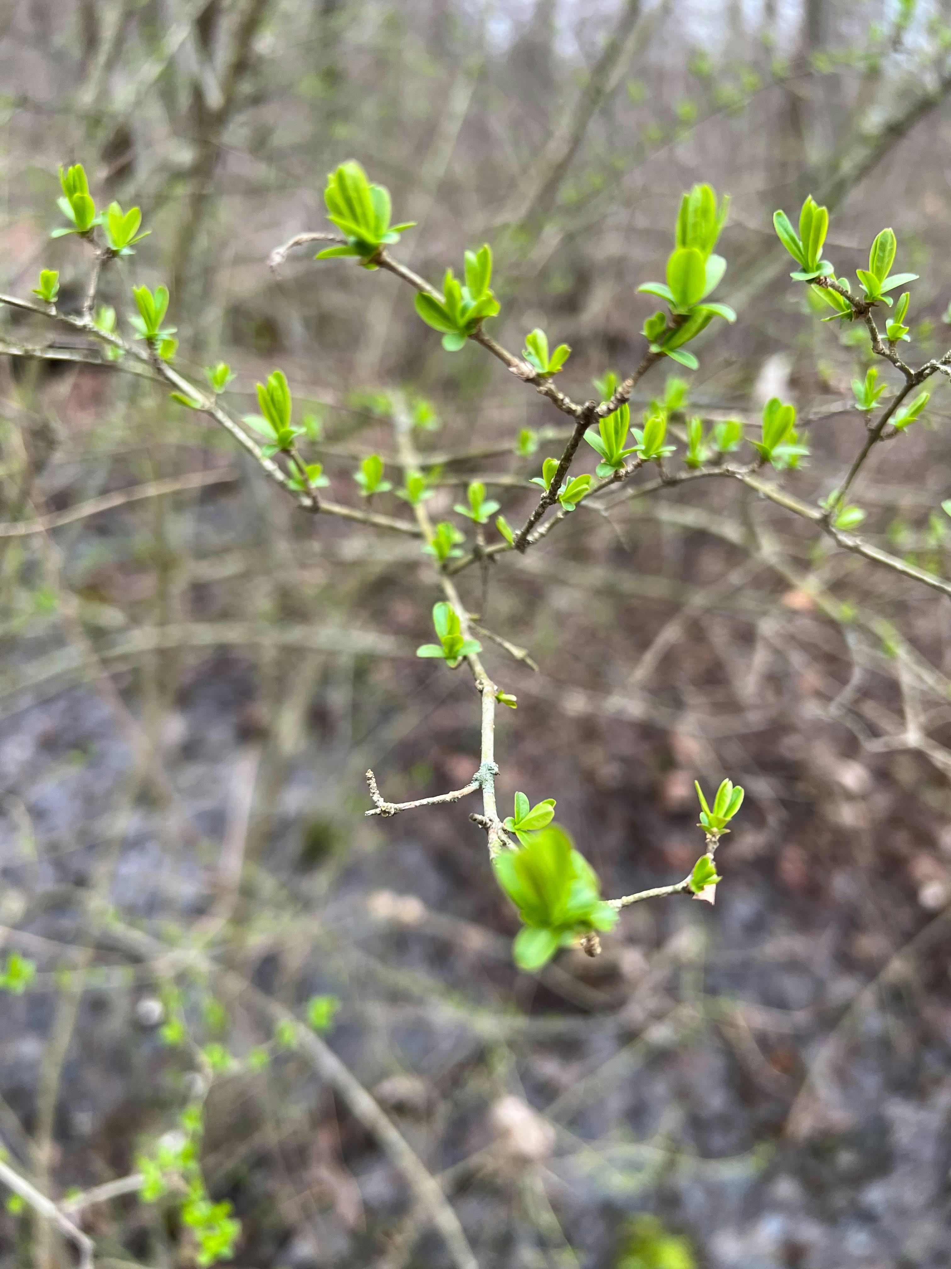 Photo by eugeniagarnes