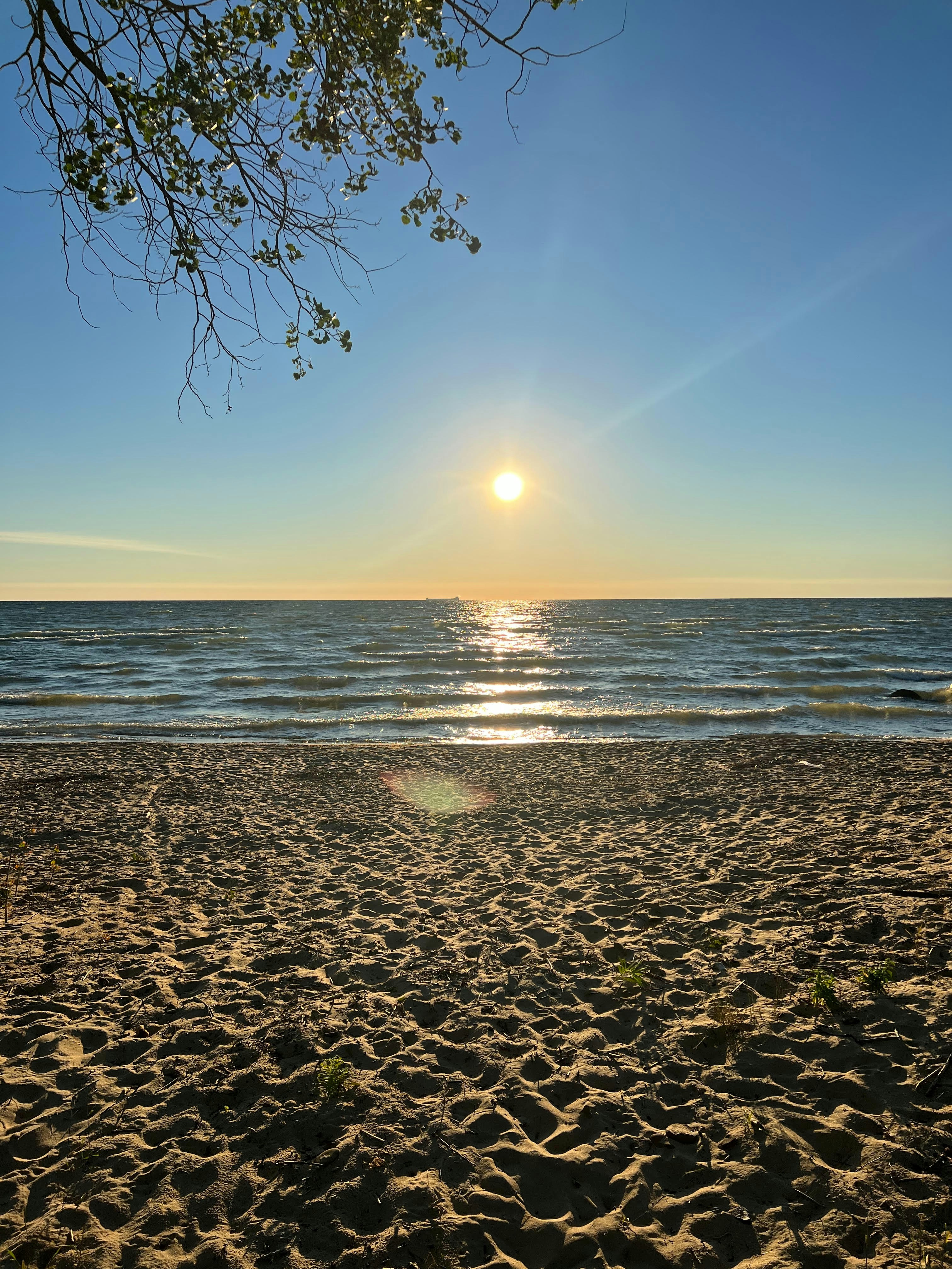 Photo by eugeniagarnes