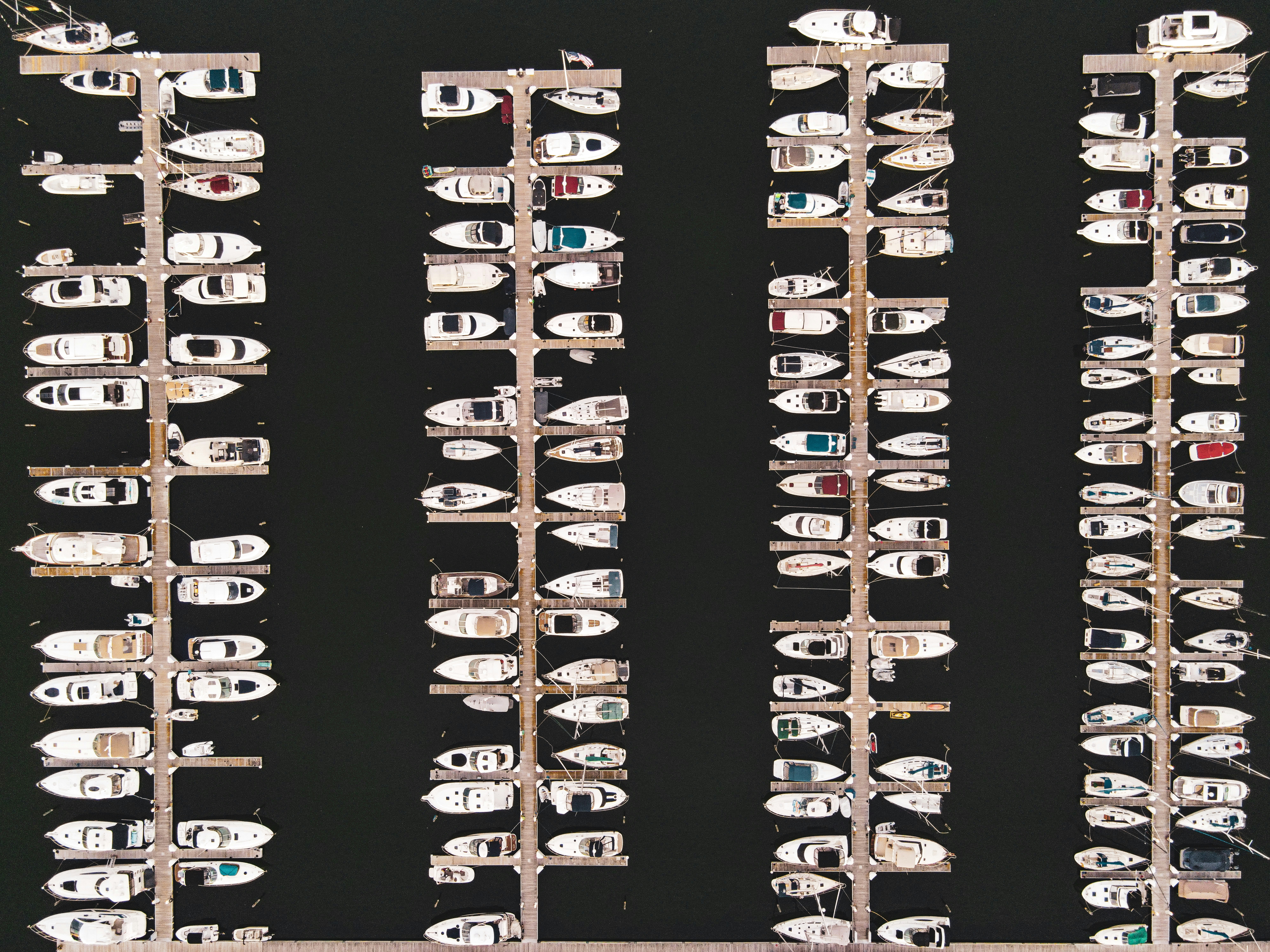 photo-1658288347750-bc3e5124925f?ixid=M3wxMjA3fDB8MXxzZWFyY2h8MTZ8fGJhbGl6YSUyMHYxNiUyMHBhcmElMjBmbG90YXMlMjBkZSUyMHZlaCVDMyVBRGN1bG9zfGVufDB8fHx8MTc2NTQ1MDY4Mnww\u0026ixlib=rb-4.1.0