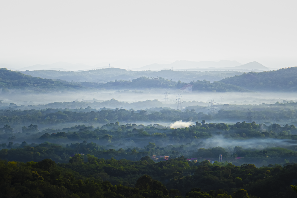 a landscape with trees and hills