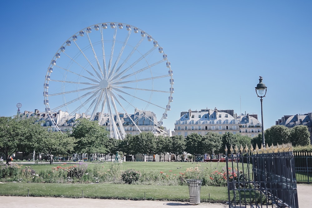 a ferris wheel in a park with Tuileries Garden in the background