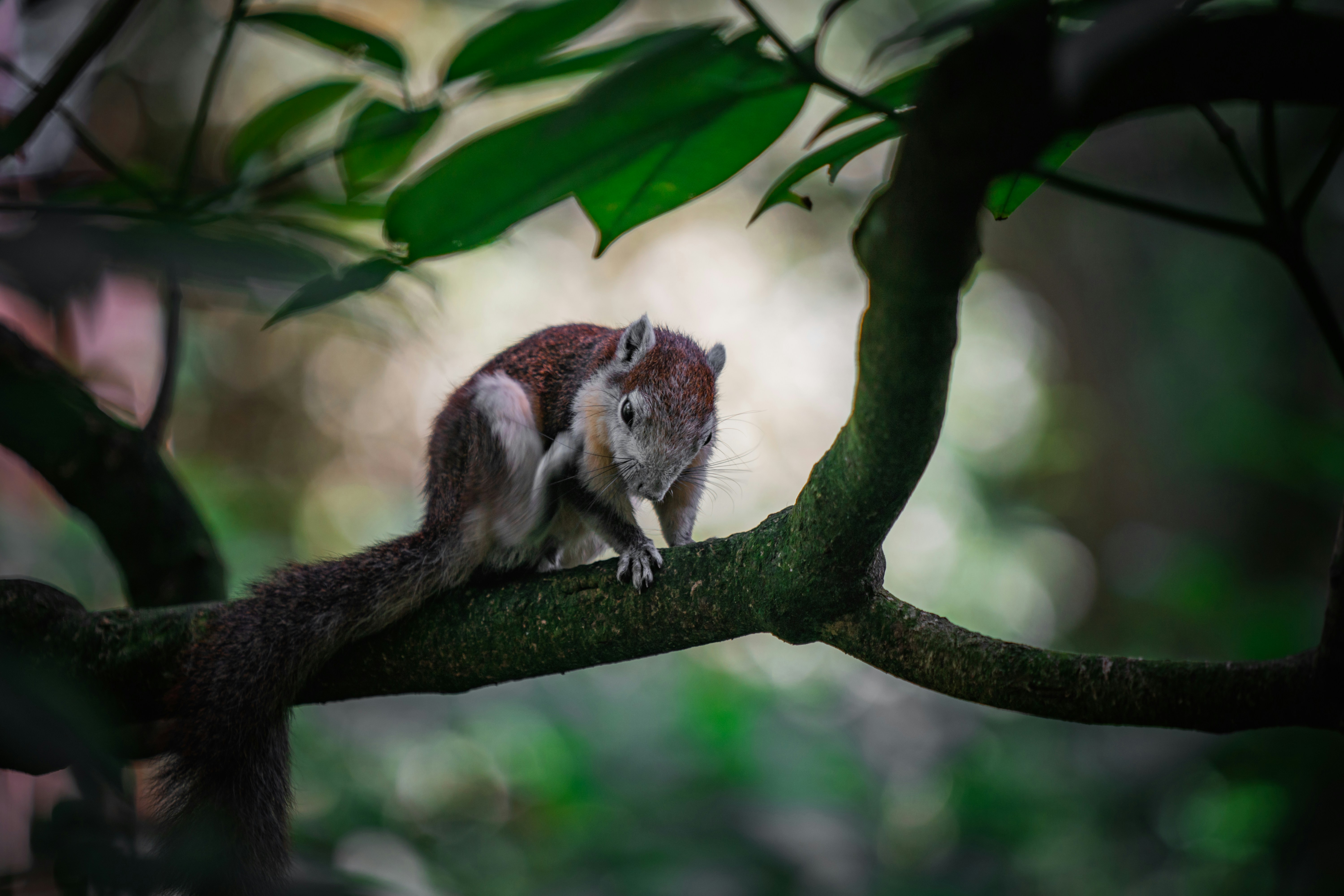 Photo by winstontjia