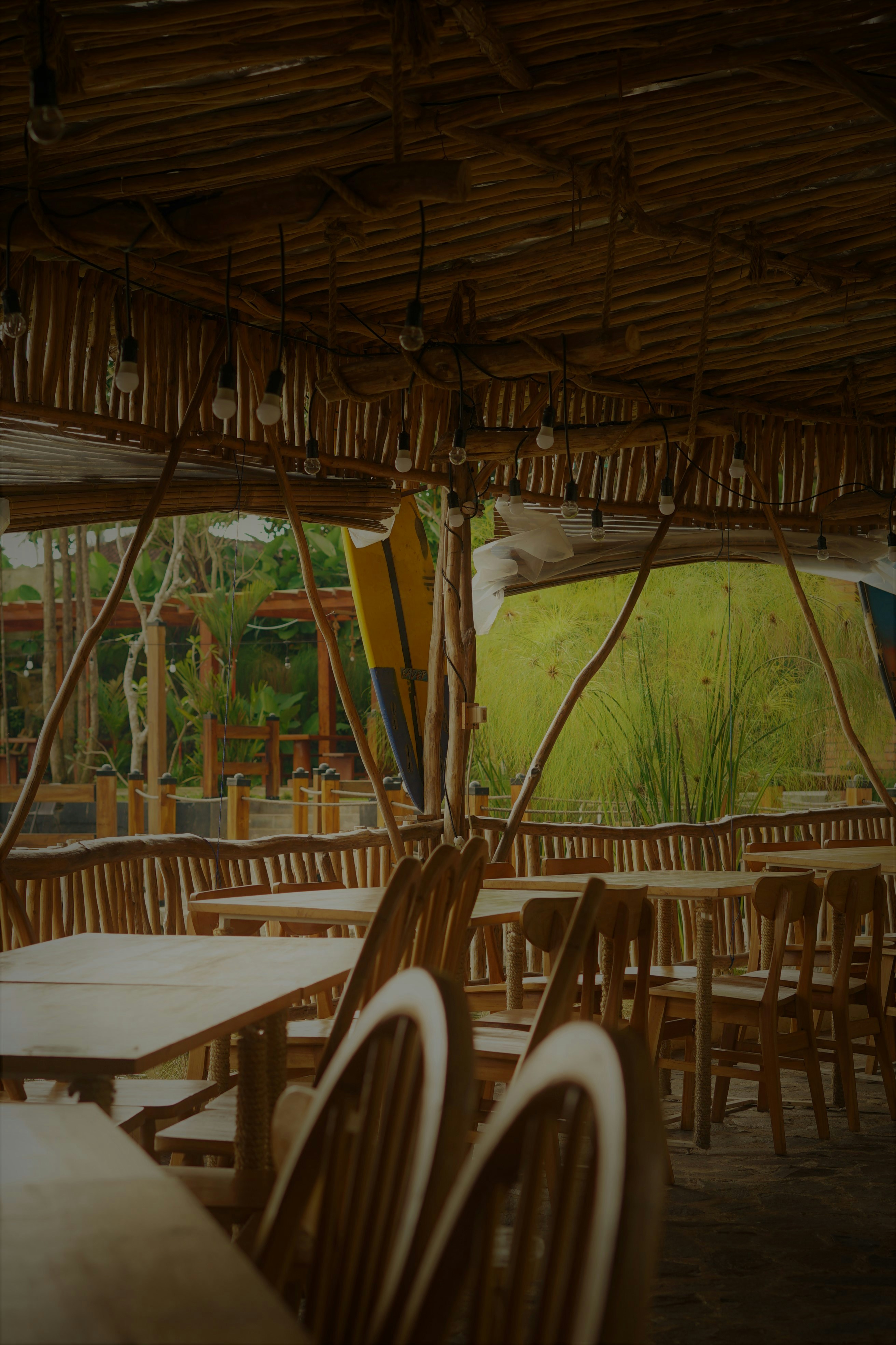 Photo by tai_kucing12