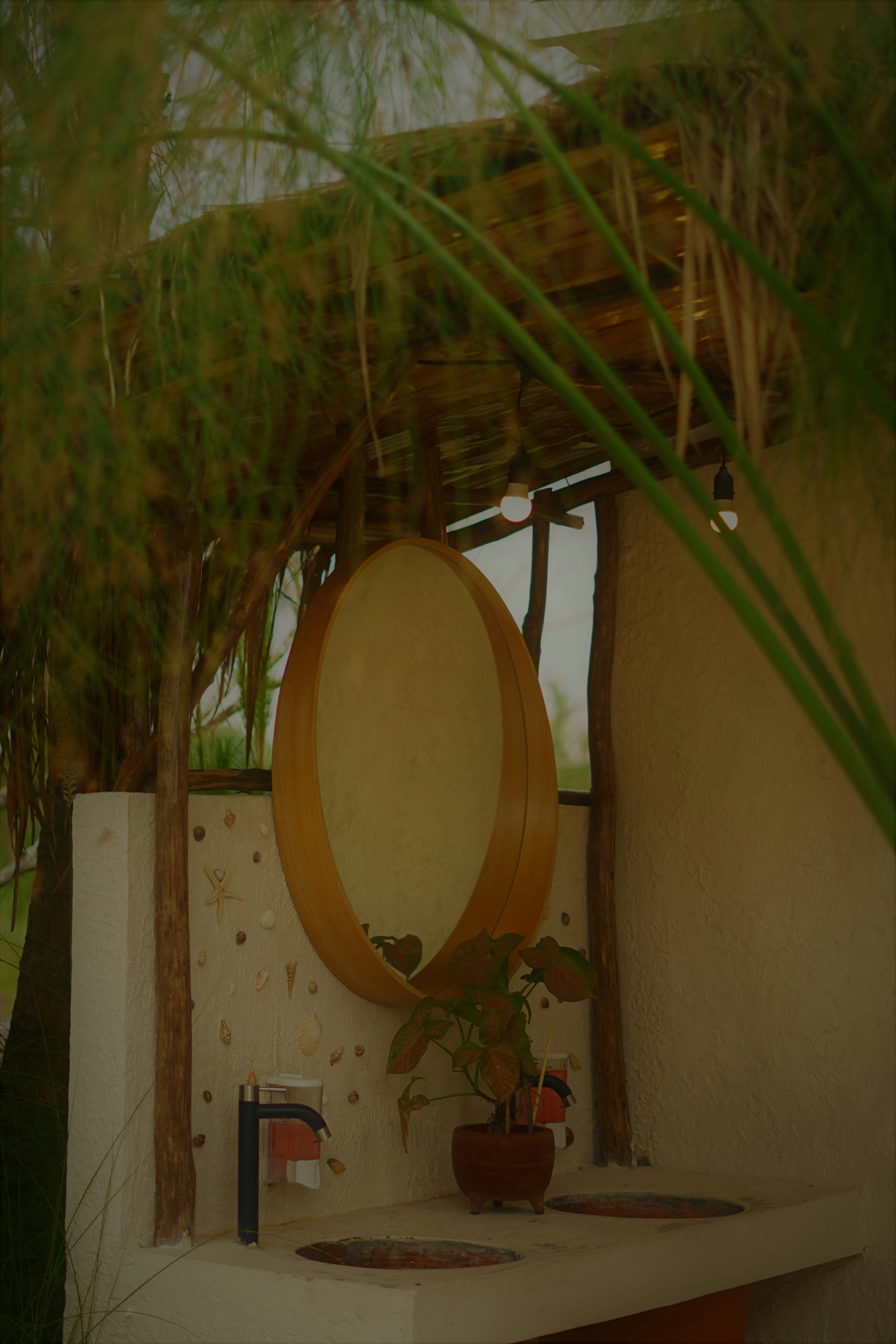 Photo by tai_kucing12