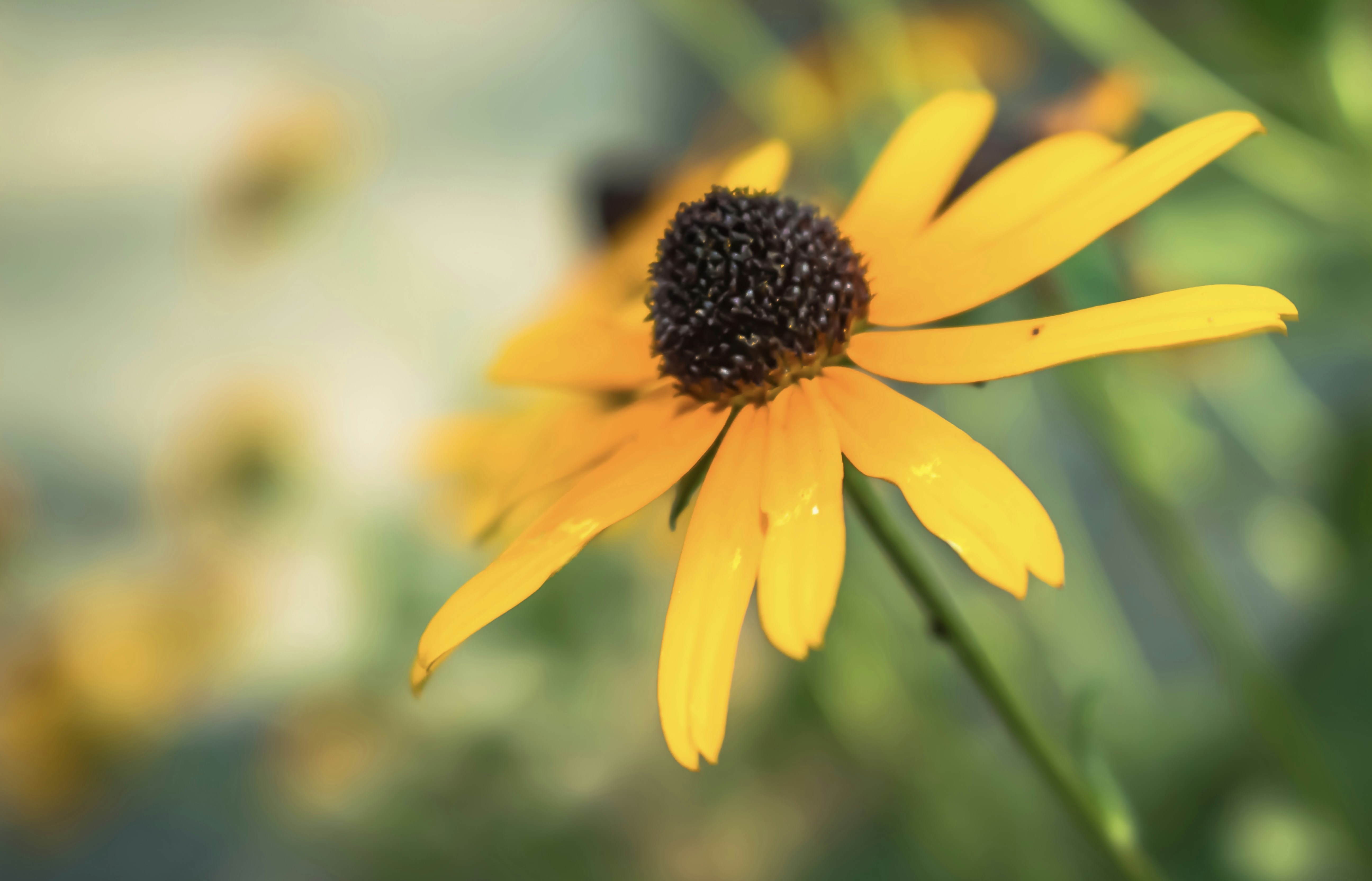 Photo by frankiewaffles