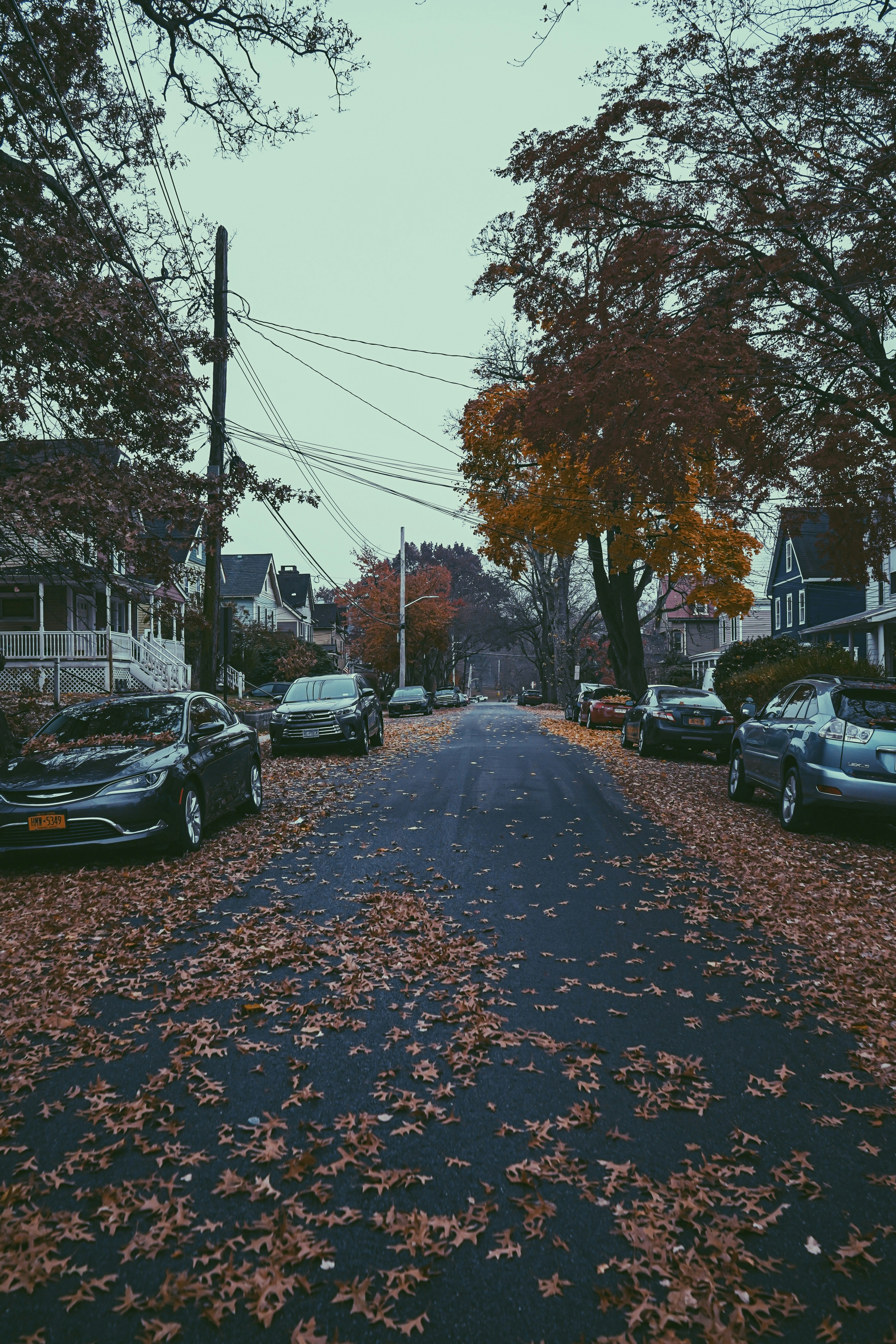 Photo by frankiewaffles