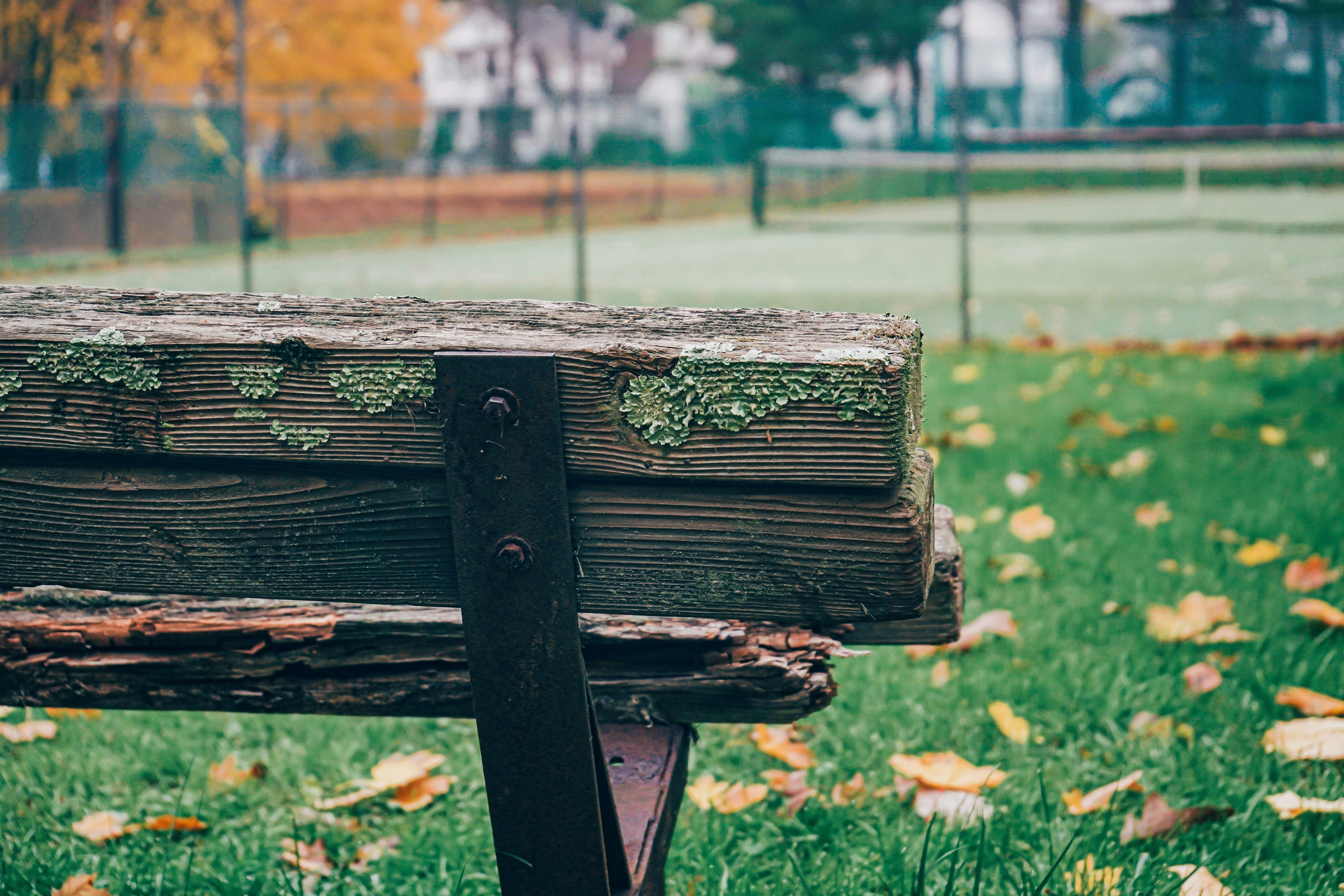 Photo by frankiewaffles