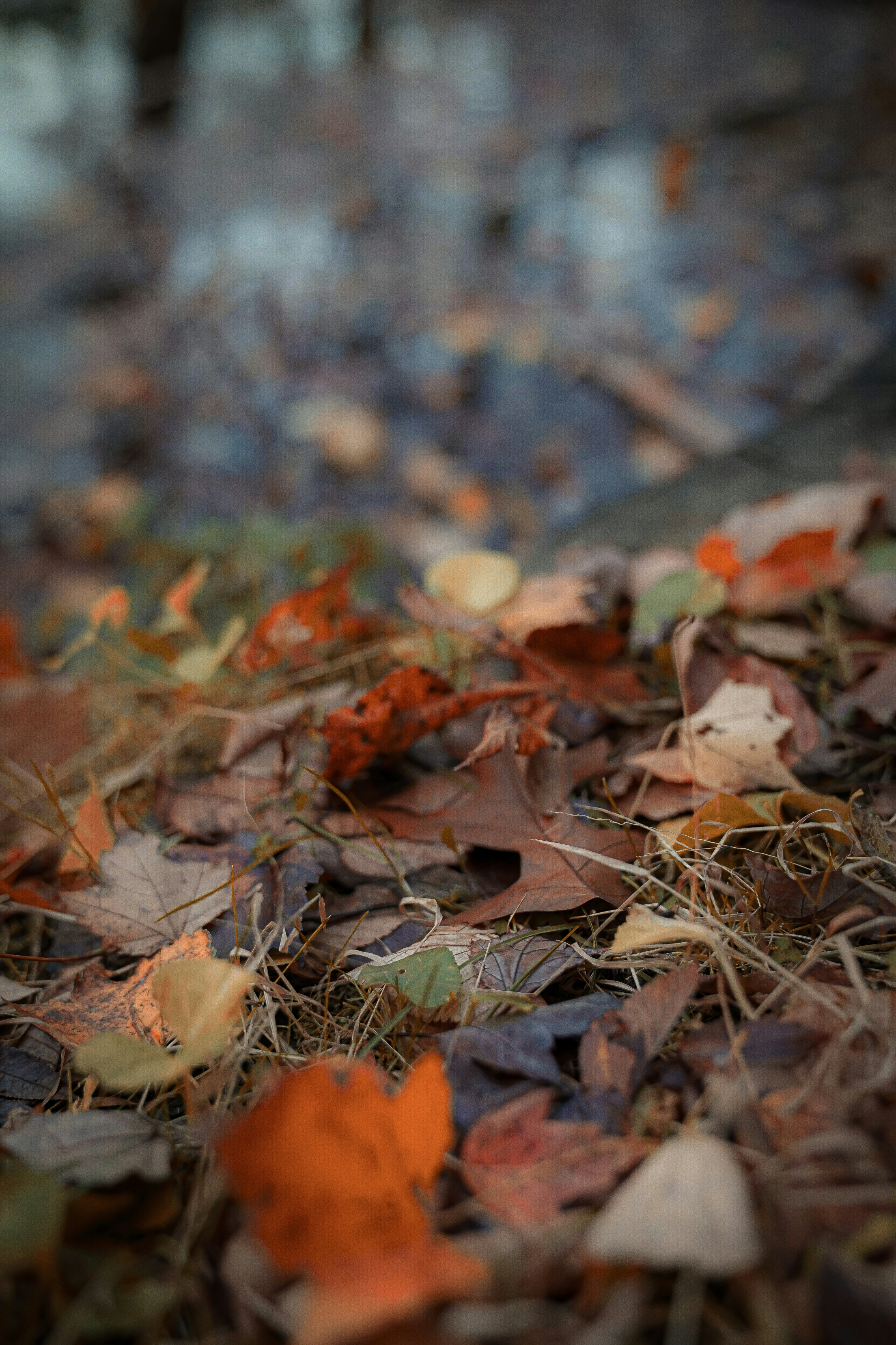 Photo by frankiewaffles