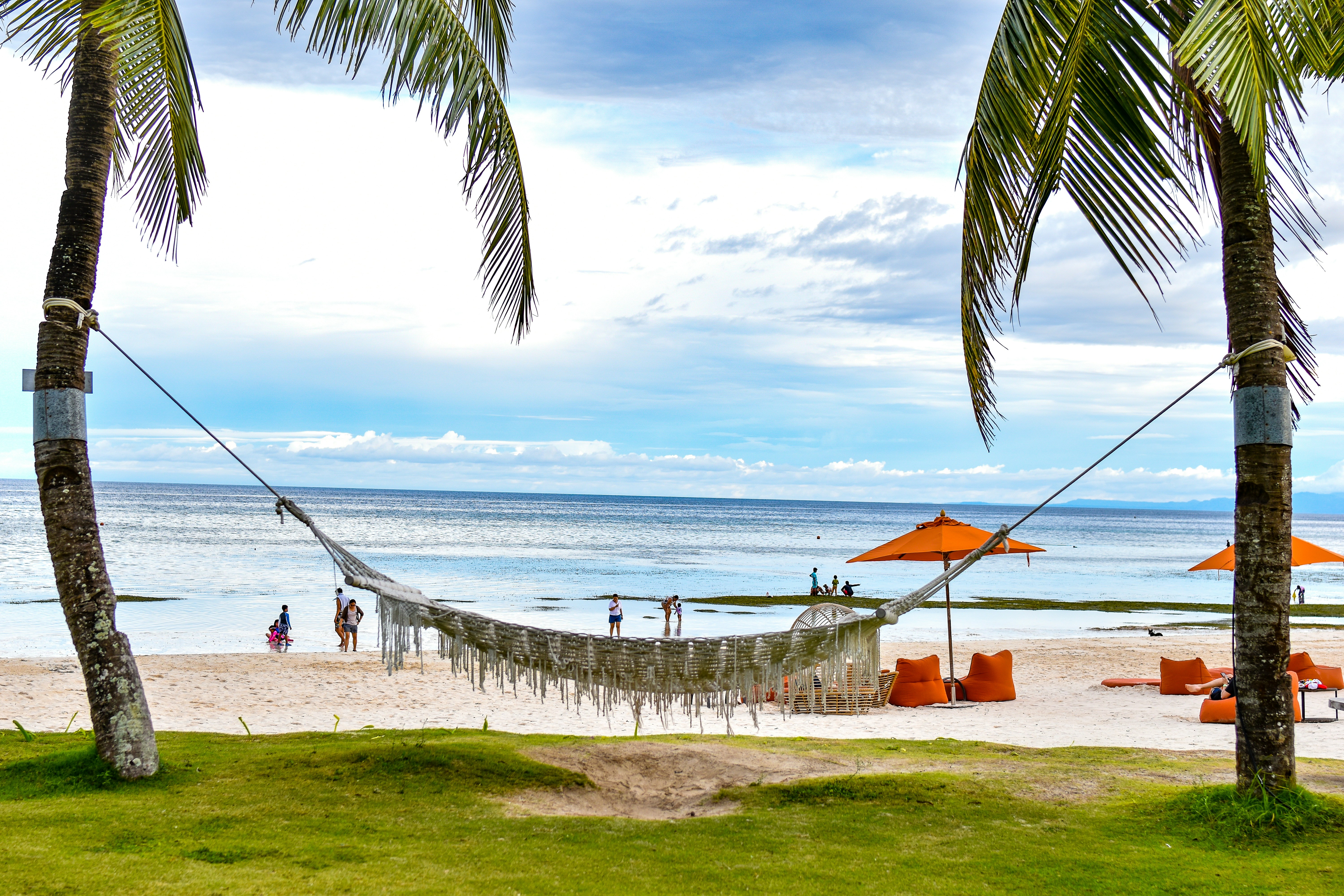 a beach with palm trees and a body of water