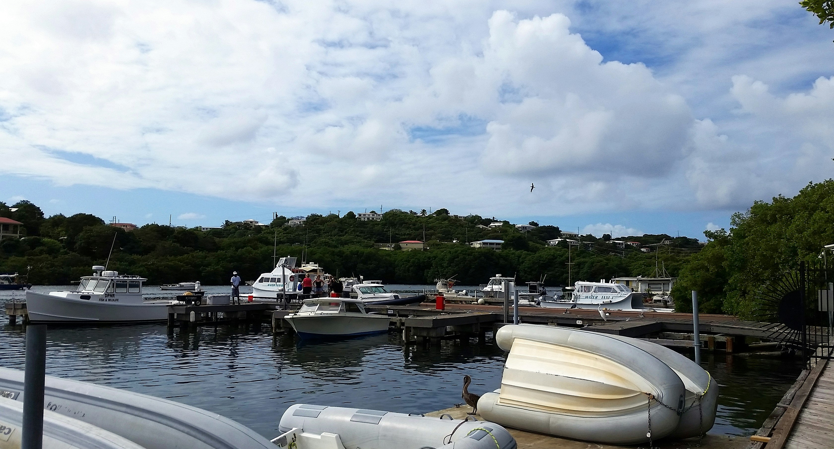 Photo by climatechangevi