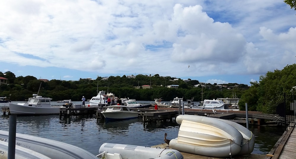 a group of boats in a harbor