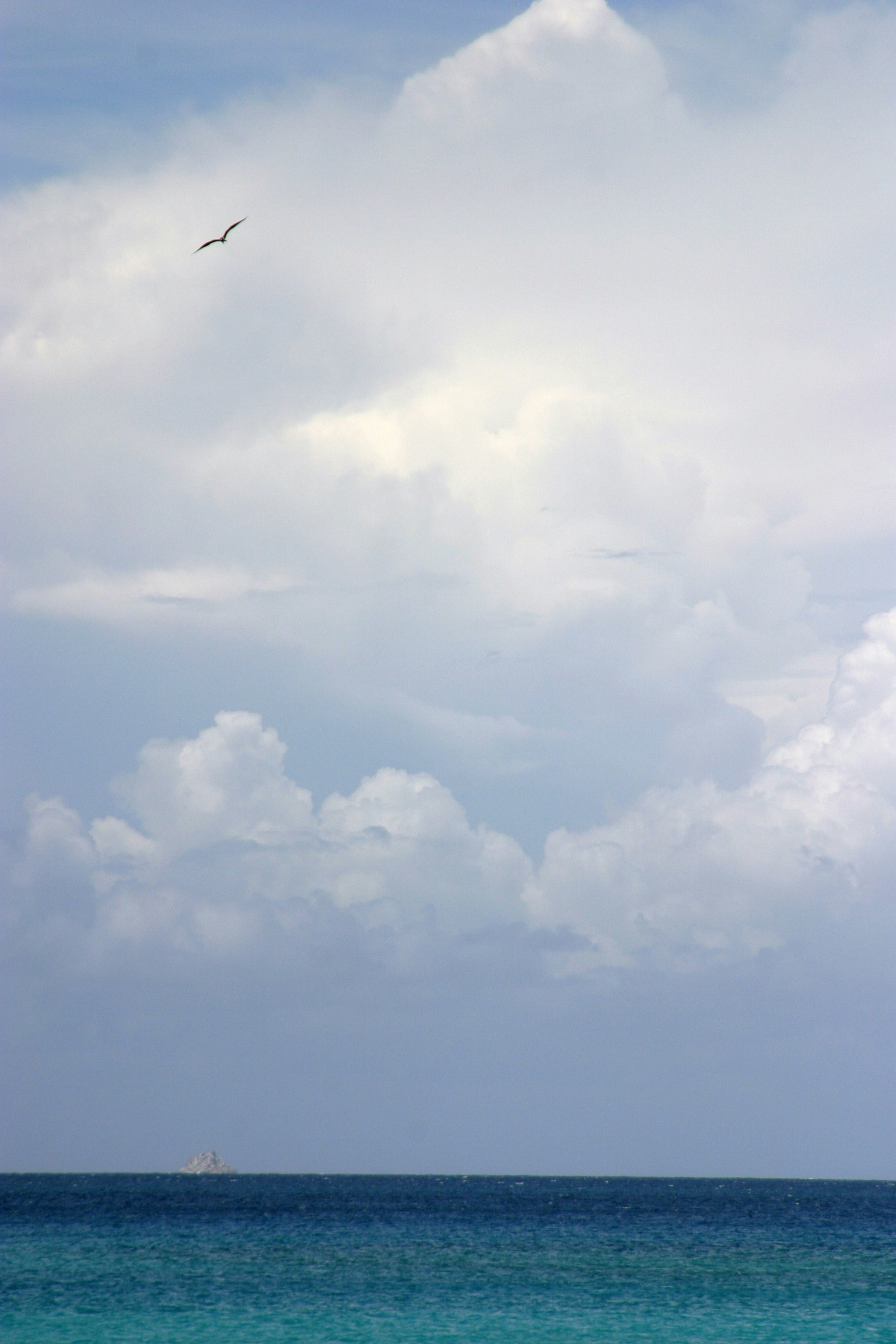 Photo by climatechangevi