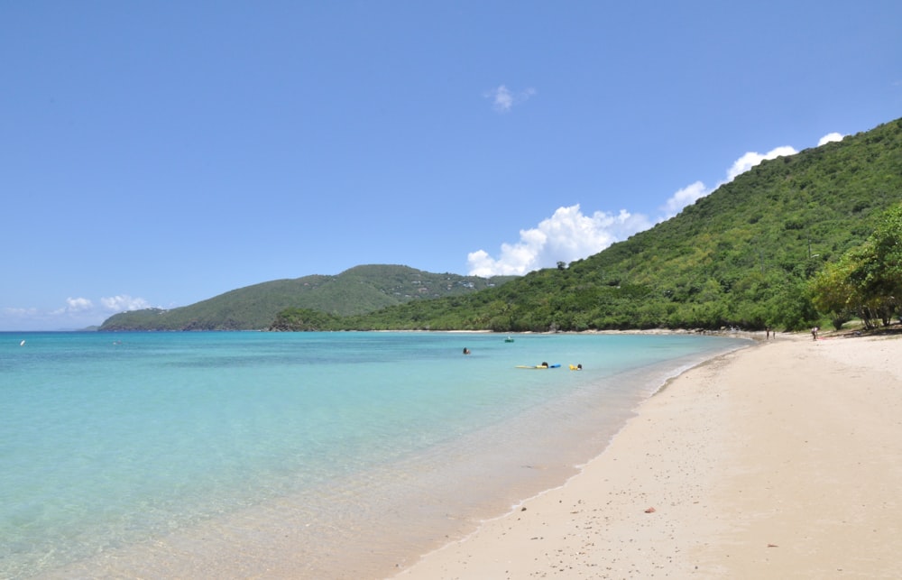 a beach with a body of water and a hill in the background