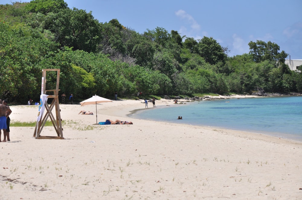 a beach with people and trees