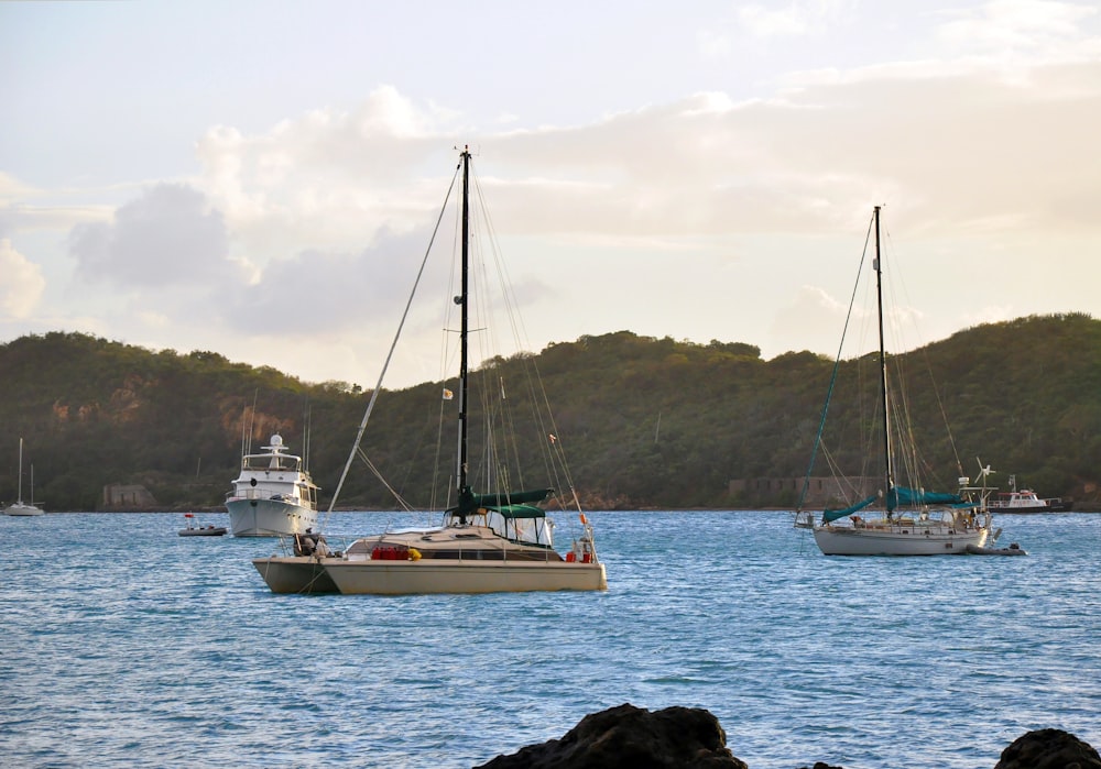 a group of boats in the water