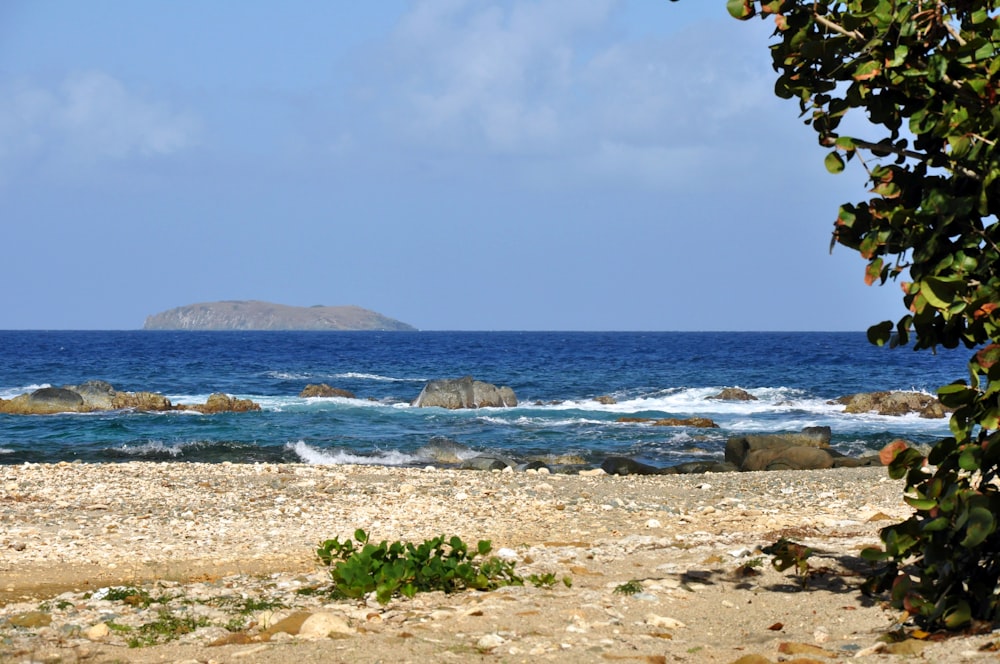 a rocky beach with a large body of water in the background