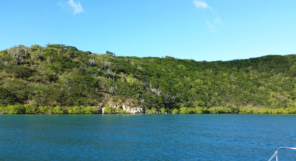 a body of water with trees on the side