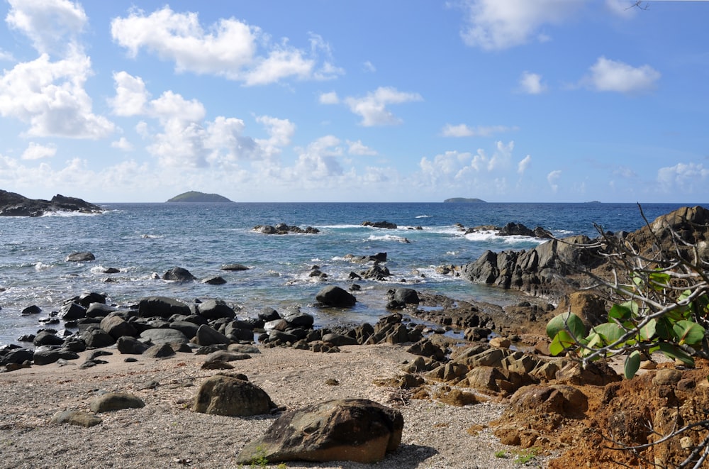 a rocky beach with a body of water in the background