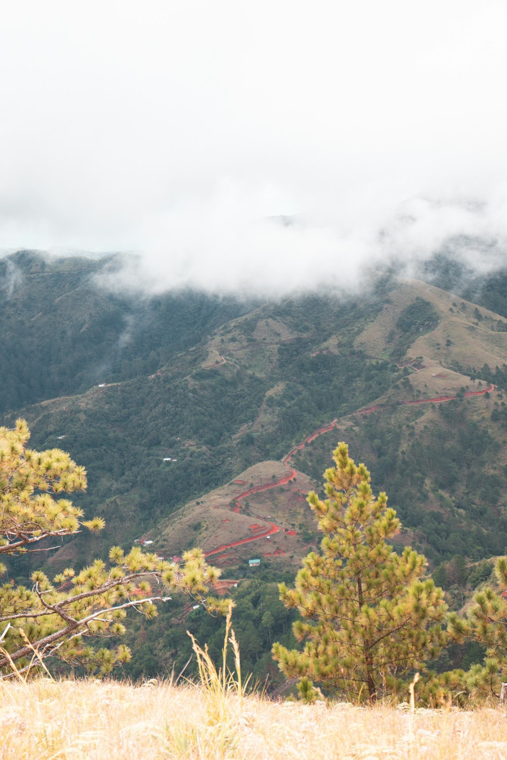 a winding road through a valley