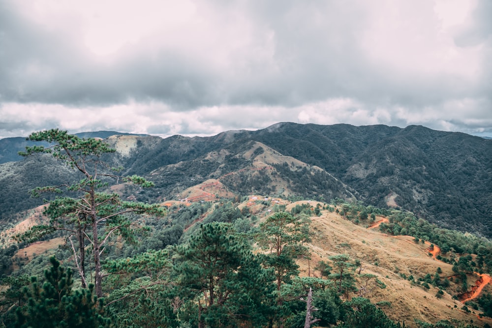 a landscape with trees and hills