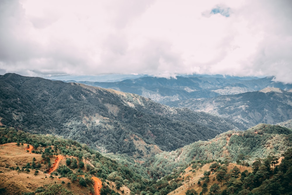 a landscape with mountains and trees